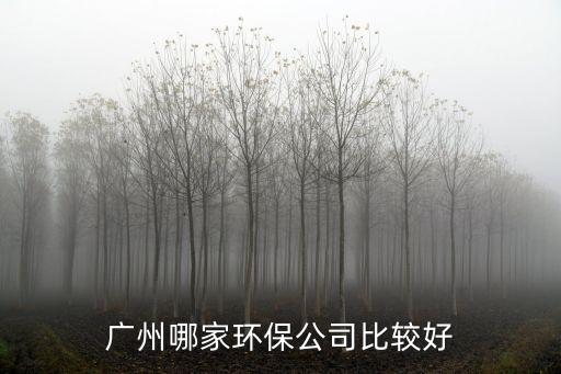 廣州哪家環(huán)保公司比較好