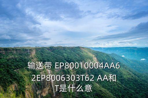 廣州btu回流焊爐原裝傳送帶，輸送帶 EP80010004AA62EP8006303T62 AA和T是什么意