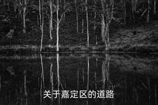 上海市嘉定區道路名大全，關于嘉定區的道路