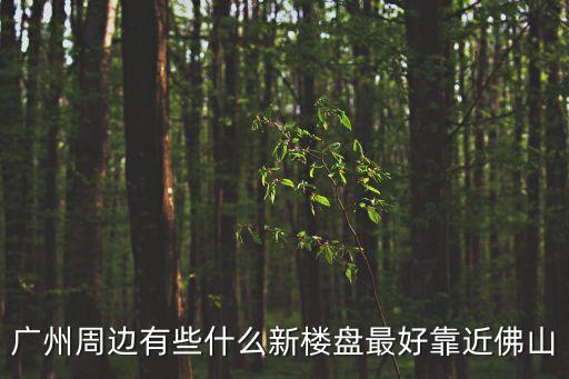 廣州周邊有些什么新樓盤最好靠近佛山