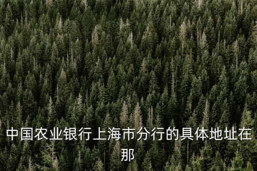 中國農業銀行上海市的網點分布，上海普陀區的農業銀行地址