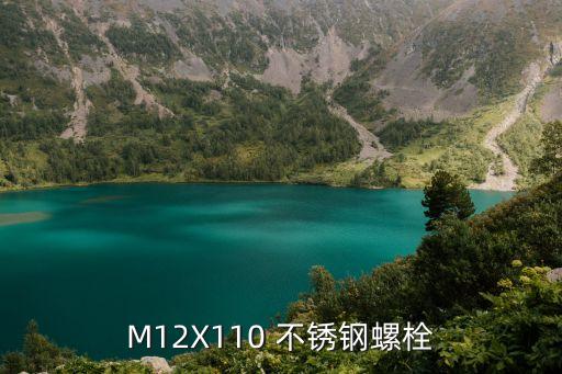 M12X110 不銹鋼螺栓