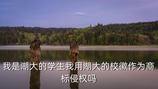 湖南大學校徽，我是湖大的學生我用湖大的校徽作為商標侵權嗎