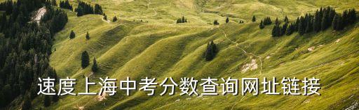 速度上海中考分?jǐn)?shù)查詢網(wǎng)址鏈接