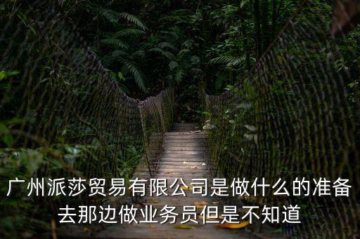 廣州派莎貿(mào)易有限公司是做什么的準(zhǔn)備去那邊做業(yè)務(wù)員但是不知道