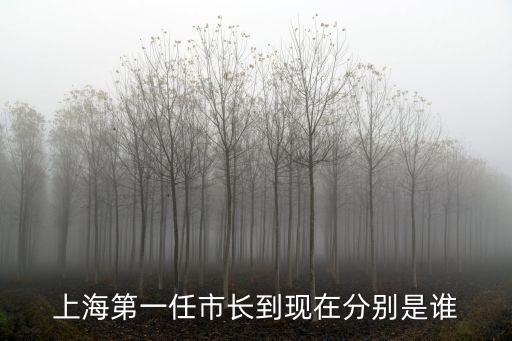 上海第一任市長到現在分別是誰