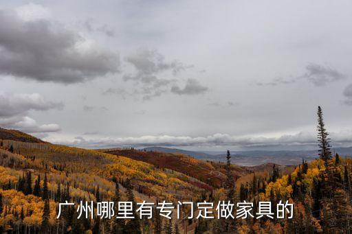 廣州天健裝飾城有定制家具嗎，廣州哪里可以定制家具