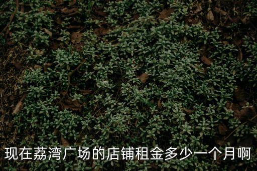 現在荔灣廣場的店鋪租金多少一個月啊