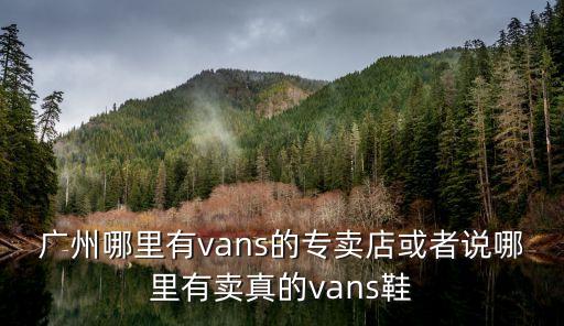 廣州哪里有vans的專賣店或者說哪里有賣真的vans鞋