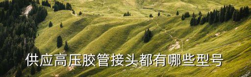 廣州扣壓膠管接頭價(jià)格，高壓膠管接頭h型輕型和重型的小頭各是多少