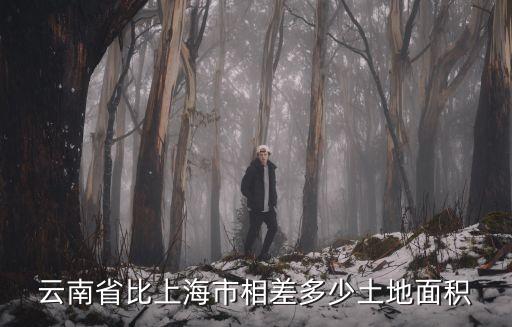 上海市跟昆明市哪個大，上海地區和云南地區那個大