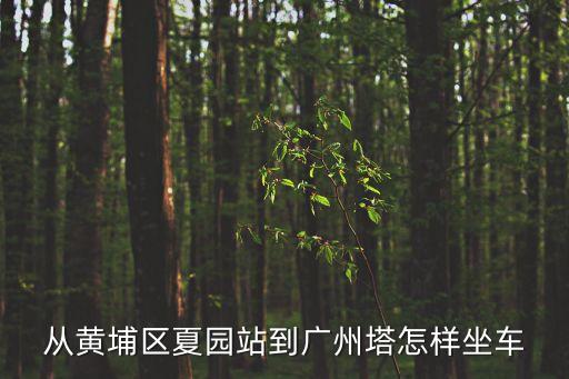 黃埔夏園站到廣州塔坐幾路車，黃埔至廣州塔乘車路線