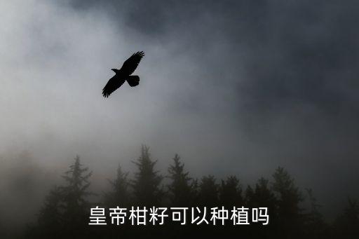 皇帝柑籽可以種植嗎