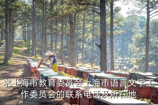 求上海市教育委員會上海市語言文字工作委員會的聯系電話及所在地