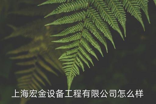 上海市宏金設(shè)備有限公司，上海宏金設(shè)備有限公司是遠(yuǎn)東宏信的下屬公司那么這個公司的面試