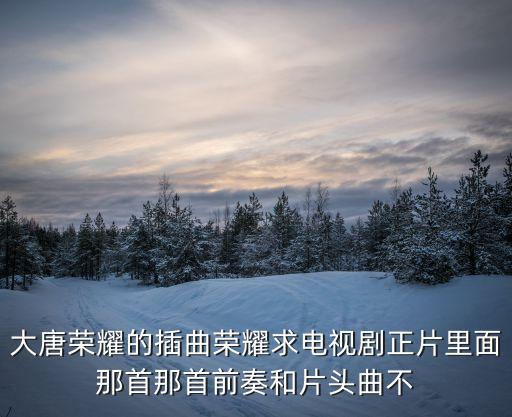 大唐榮耀的插曲榮耀求電視劇正片里面那首那首前奏和片頭曲不