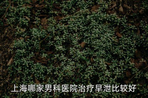 上海市北高新門診部有限公司，閘北區江場三路228號2樓是什么公司啊