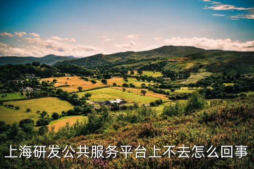 上海研發公共服務平臺上不去怎么回事