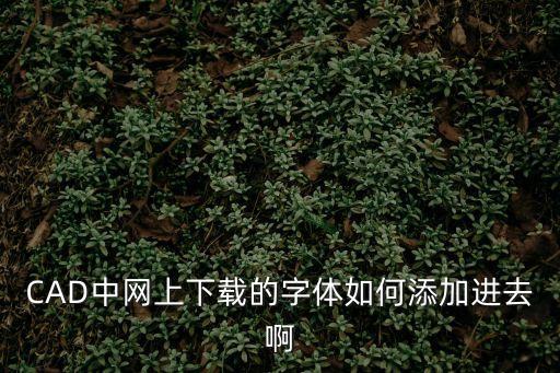 CAD中網(wǎng)上下載的字體如何添加進(jìn)去啊
