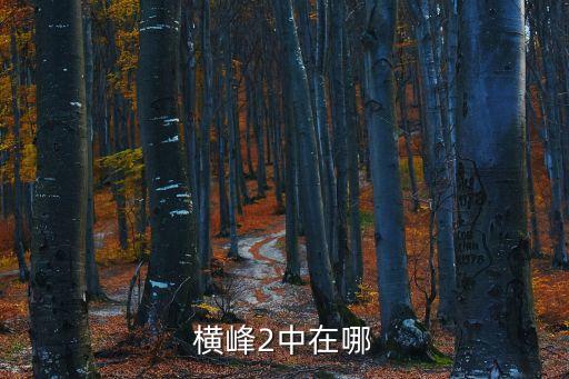 橫峰二中，橫峰二中的校草有哪些