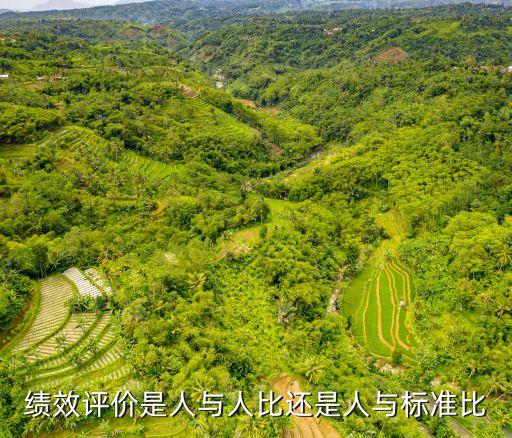 績(jī)效評(píng)價(jià)，員工績(jī)效評(píng)價(jià)的內(nèi)容