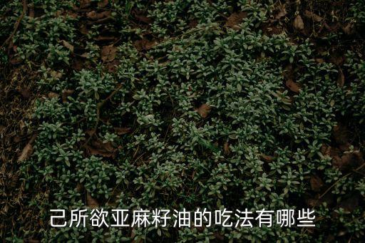亞麻籽油的食用方法，亞麻籽油怎么吃