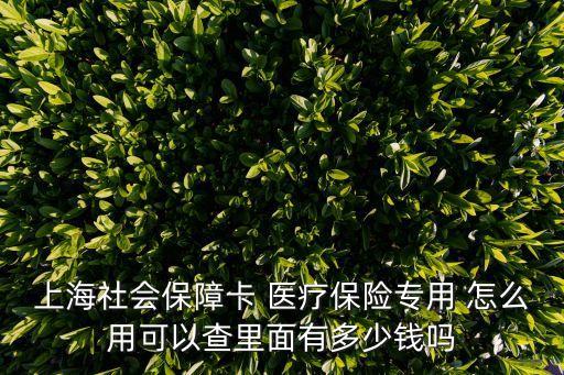上海社會保障卡 醫療保險專用 怎么用可以查里面有多少錢嗎