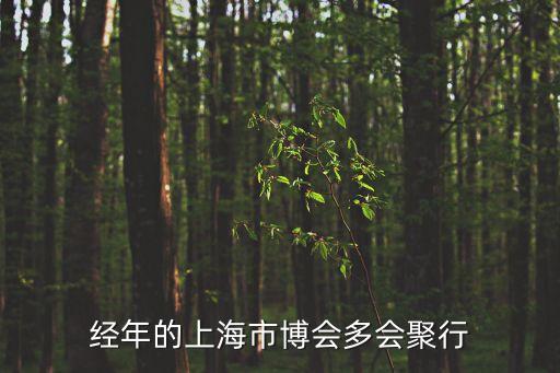 上海市委米蘭國際展覽，經年的上海市博會多會聚行