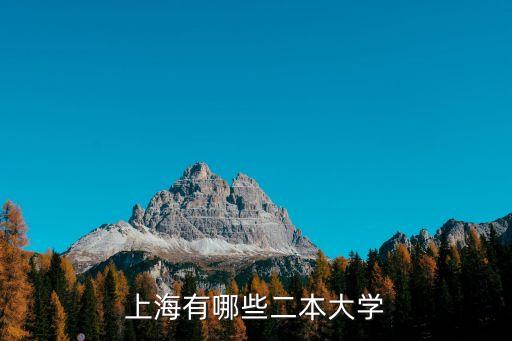 上海市二本學院有哪些大學，上海有哪些二本大學