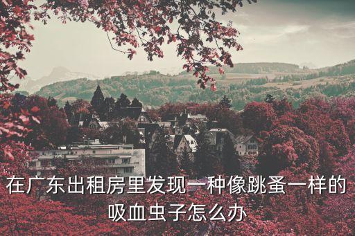 在廣東出租房里發現一種像跳蚤一樣的吸血蟲子怎么辦