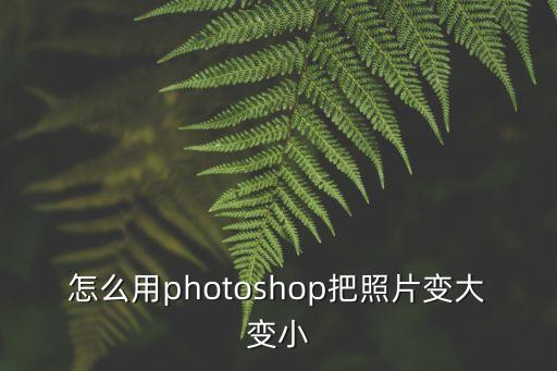 ps如何放大縮小圖片，如何在photoshop中放大縮小圖片