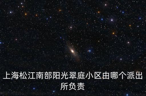 上海松江南部陽光翠庭小區(qū)由哪個派出所負(fù)責(zé)