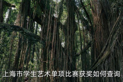 上海市學生藝術單項比賽獲獎如何查詢