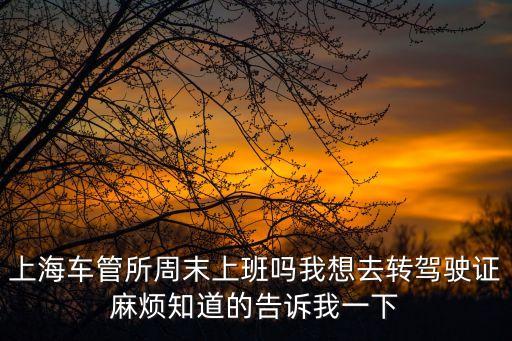 上海車管所周末上班嗎我想去轉駕駛證麻煩知道的告訴我一下