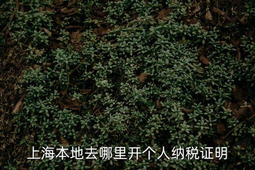 上海本地去哪里開個人納稅證明