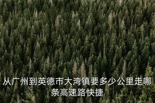從廣州到英德市大灣鎮(zhèn)要多少公里走哪條高速路快捷