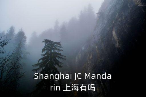 上海市天曼國際酒店，上海長壽路新南華大酒店旁有個酒店式公寓叫什么