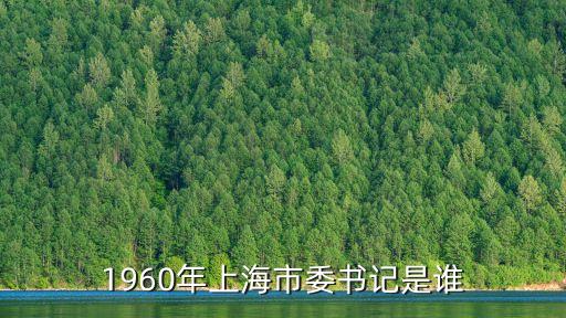 歷任上海市委書記有哪些人，上海市書記是誰了