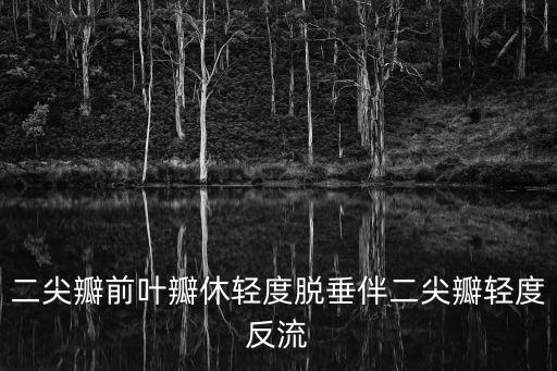 二尖瓣前葉瓣休輕度脫垂伴二尖瓣輕度反流