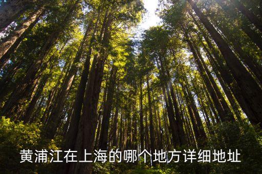 上海市黃浦江在哪里，黃浦江在哪里呢