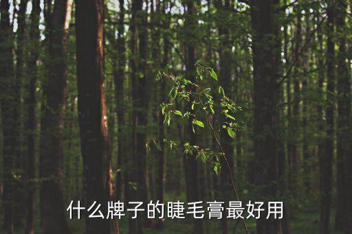 睫毛膏推薦，有什么好用的睫毛膏分享下