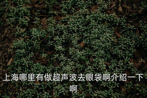 上海哪里有做超聲波去眼袋啊介紹一下啊