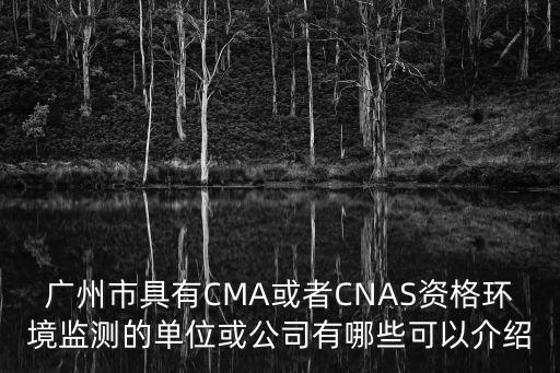 廣州cem公司，廣州市具有CMA或者CNAS資格環境監測的單位或公司有哪些可以介紹