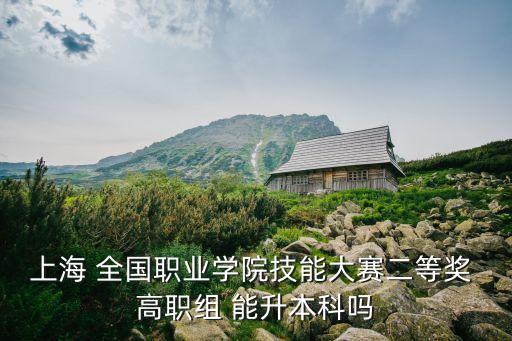 上海 全國職業學院技能大賽二等獎 高職組 能升本科嗎