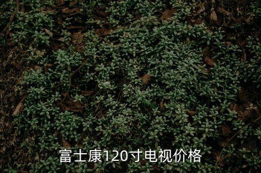 有廣州富士康產的韓圣電視機，那個品牌的智能電視是由富士康代工的