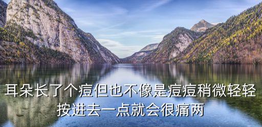 耳朵長，耳朵長了粒東西