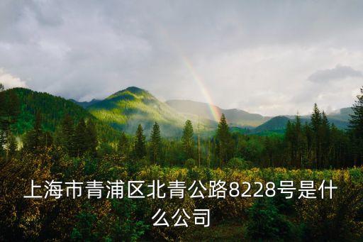 上海市青年實(shí)業(yè)集團(tuán)，上海市青浦區(qū)北青公路8228號是什么公司