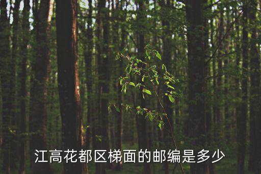 廣州市花都區(qū)梯面鎮(zhèn)民安村郵編，江高花都區(qū)梯面的郵編是多少
