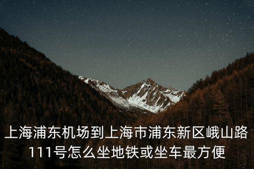 上海浦東機場到上海市浦東新區峨山路111號怎么坐地鐵或坐車最方便
