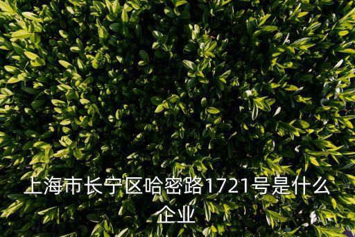 上海市長寧區哈密路1721號是什么企業